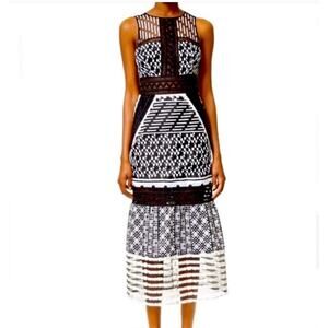 Johnathan Simkhai Embroidered Organza Mesh Midi Dress Size 2